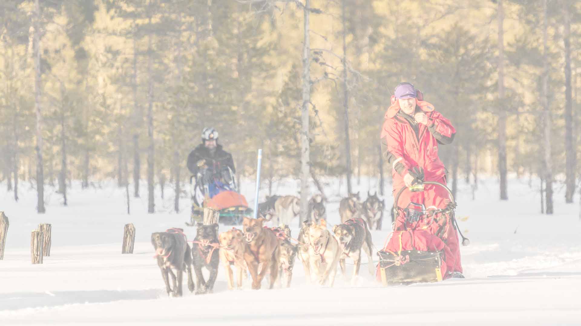 mote modne kvinner gratis pohjois karjala mote modne kvinner gratis pohjois karjala